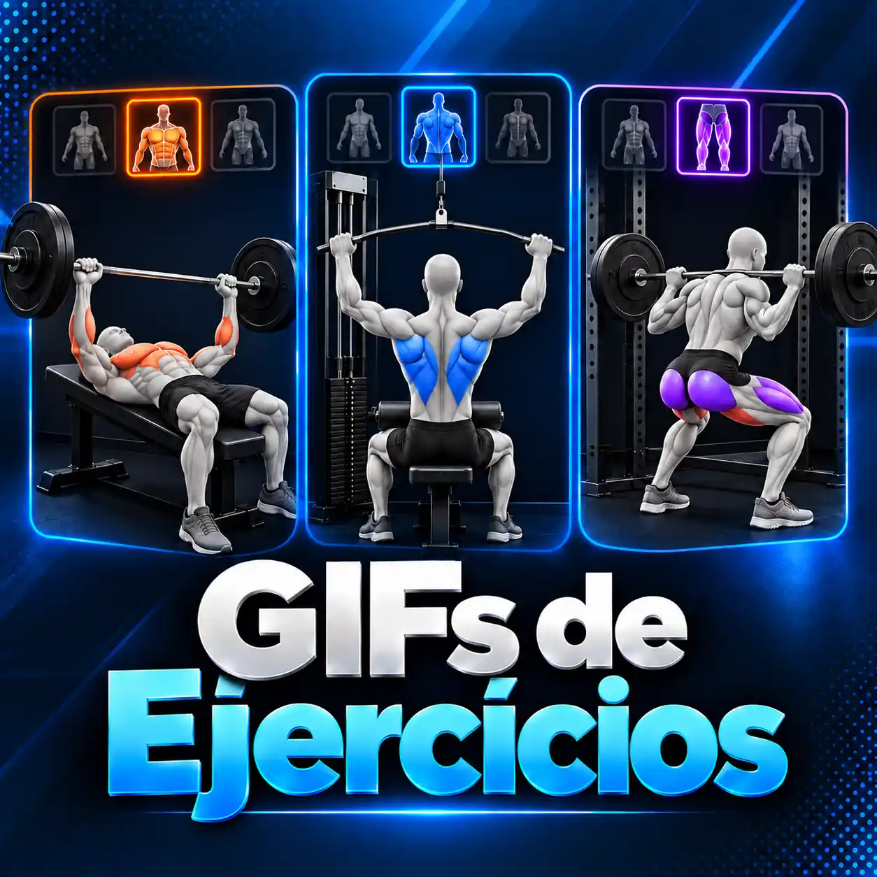 GIFs de Ejercicios